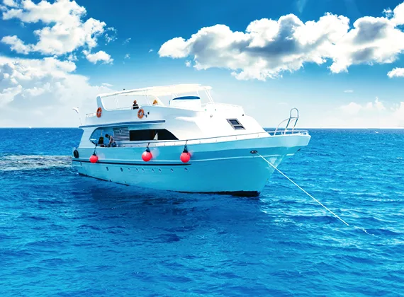 Surfers Paradise, Surfing Vacation - 威廉希尔